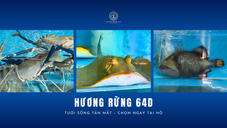 Hải Sản Tươi Sống Tại Hồ Hương Rừng 64D: Tươi Từ Hồ – Ngon Trên Bàn