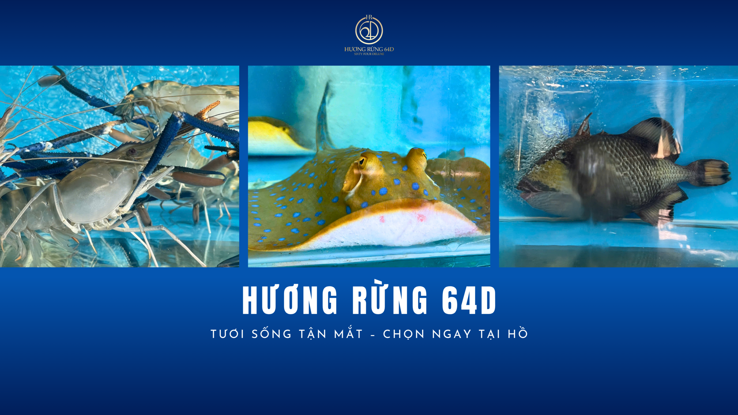 Tuoi Song Tan Mat – Chon Ngay Tai Ho