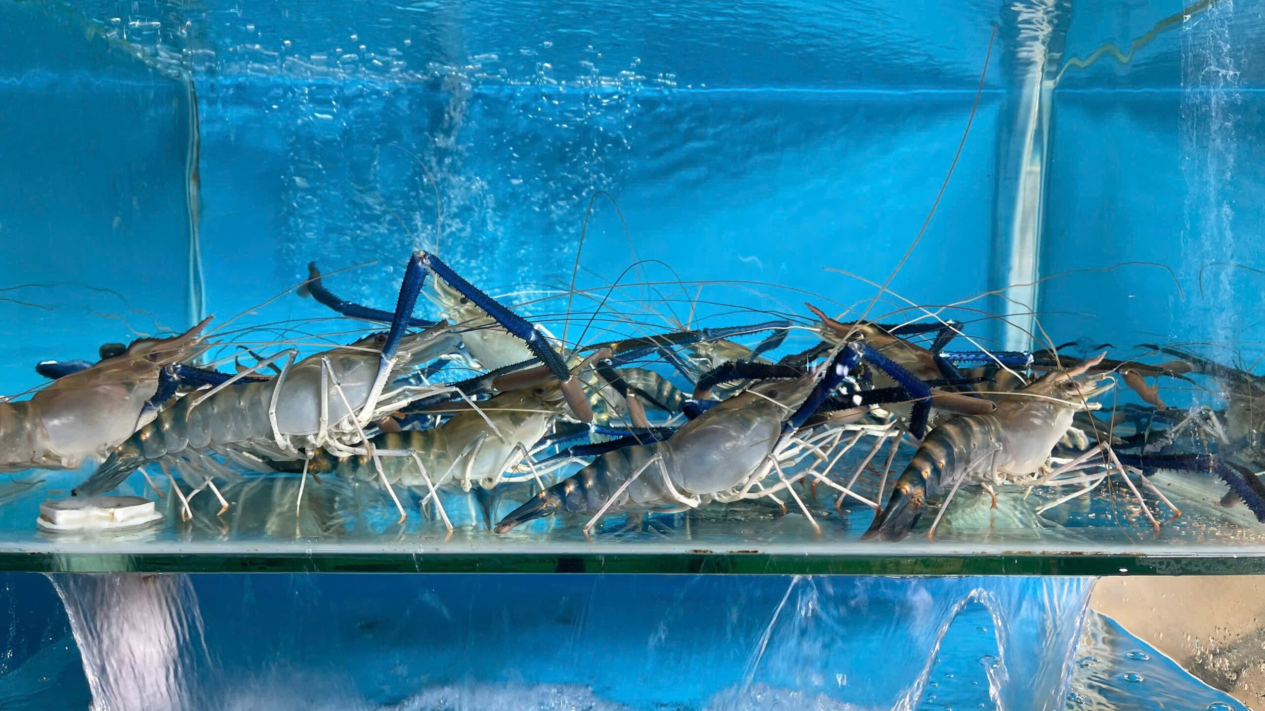 Z7687112012267 2f1ed8b757e7be7a3ec2dcbcfdf45d1c